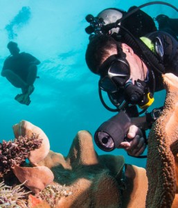 Cancun Diving Two Tank