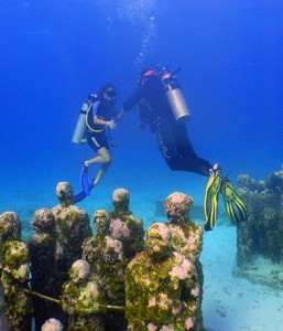 Underwater Museum