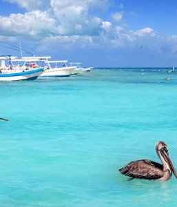 Puerto Morelos Diving