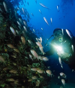 Scuba Diver Course