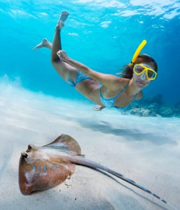 Snorkeling in Cancun