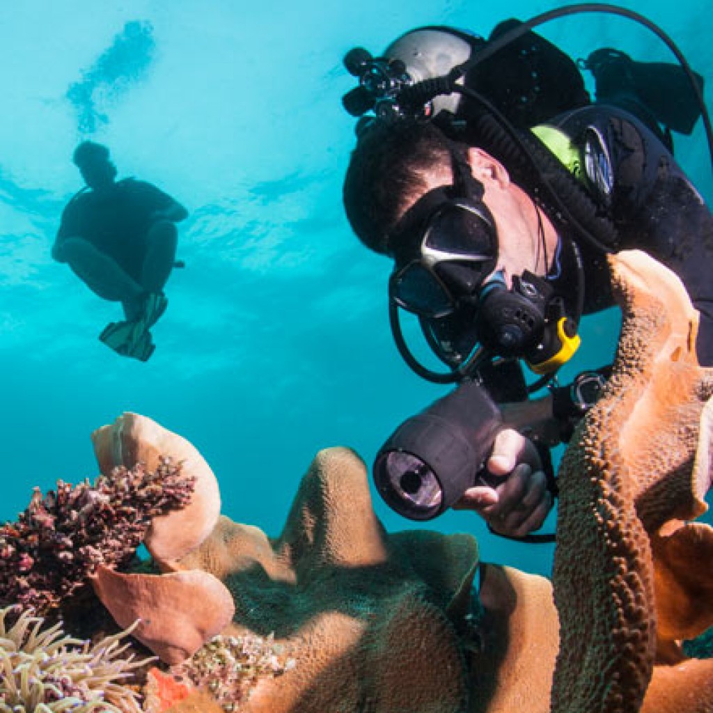 2 tank scuba diving cancun