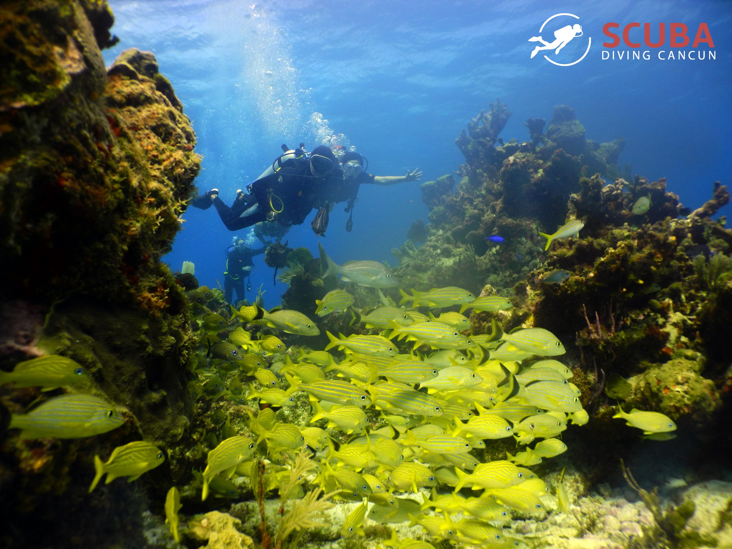 all inclusive cancun scuba diving