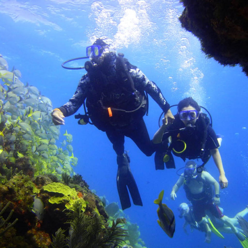 scuba diving riviera cancun