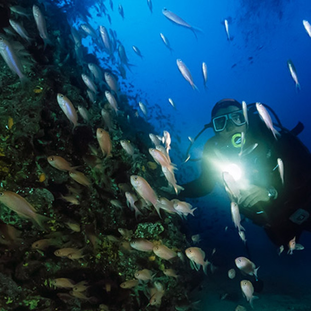 cancun resort scuba diving course