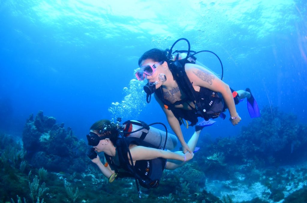 cancun scuba diving season